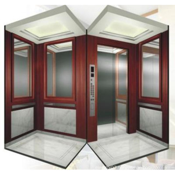 Fjzy-High Quality and Safety Home Lift Fjs-1638